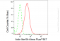 KD-Validated Anti-Actin like 6A Rabbit Monoclonal Antibody